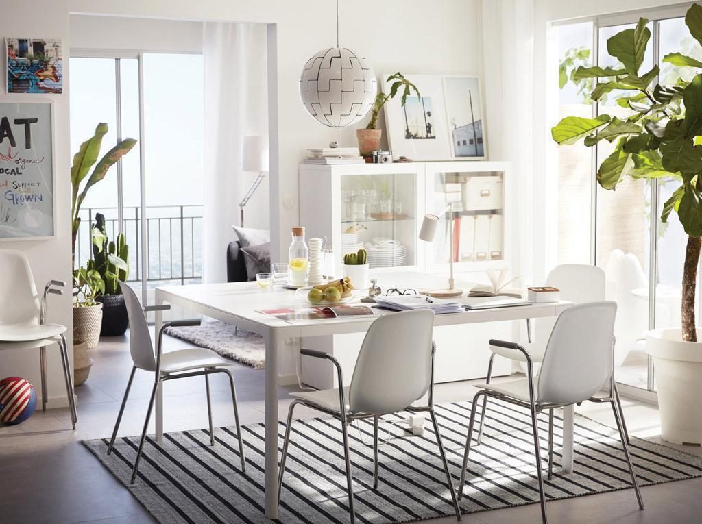 Bright Scandinavian dining room with white chairs and plants